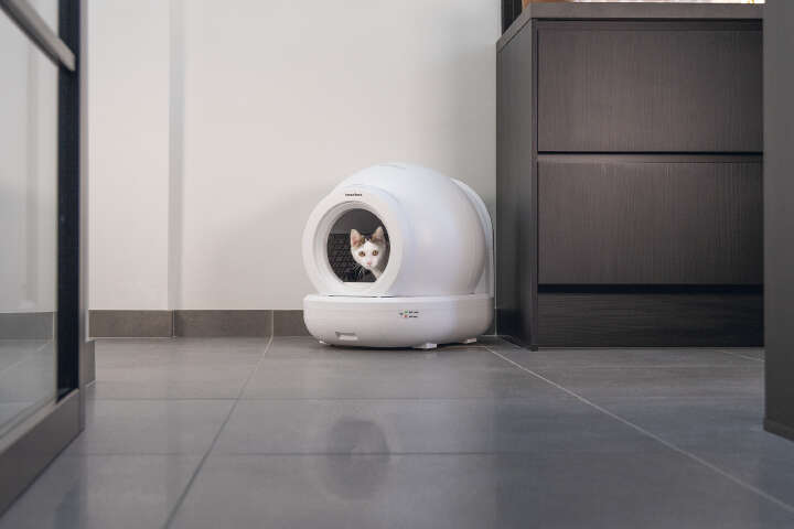 beeztees Automatische Katzentoilette Moeza